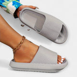 Namų ir Paplūdimio Šlepetės